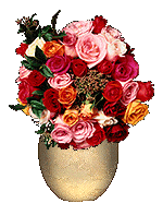 Bild gemischtfarbene Rosen