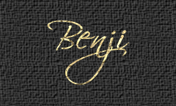 Schriftzug Benji